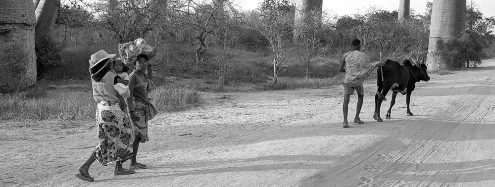 DEICHMANN Stiftung - Chancen geben in Deutschland und Madagaskar